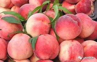 国产丨蜜桃 精品入口,尽享甜蜜滋味